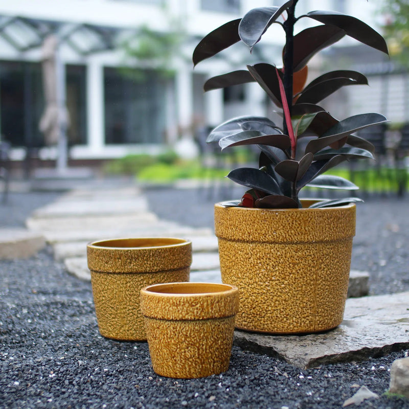 Handmade Ceramic Planter Set of 3 by HouseOfZazla