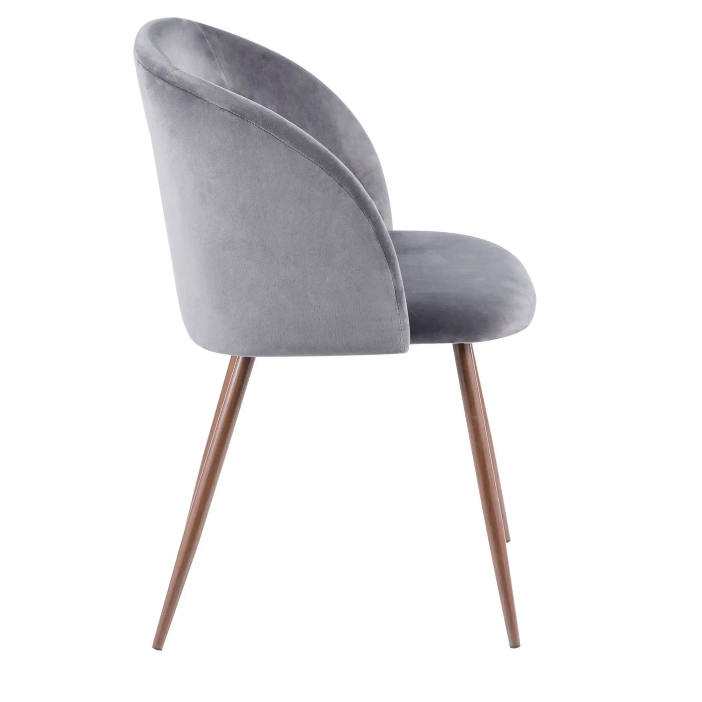 Fran - Contemporary Dining Chair (Set of 2) by HouseOfZazla