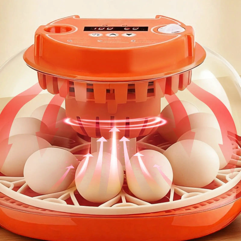 12 Egg Incubator with Automatic Egg Turner and LED Candler by HouseOfZazla