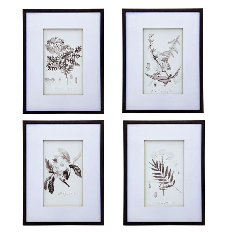 Botanical Wall Art Prints, Home Decor For Living Room Dining Room, Bedroom, Hallway (Set of 4) - White / Black by HouseOfZazla