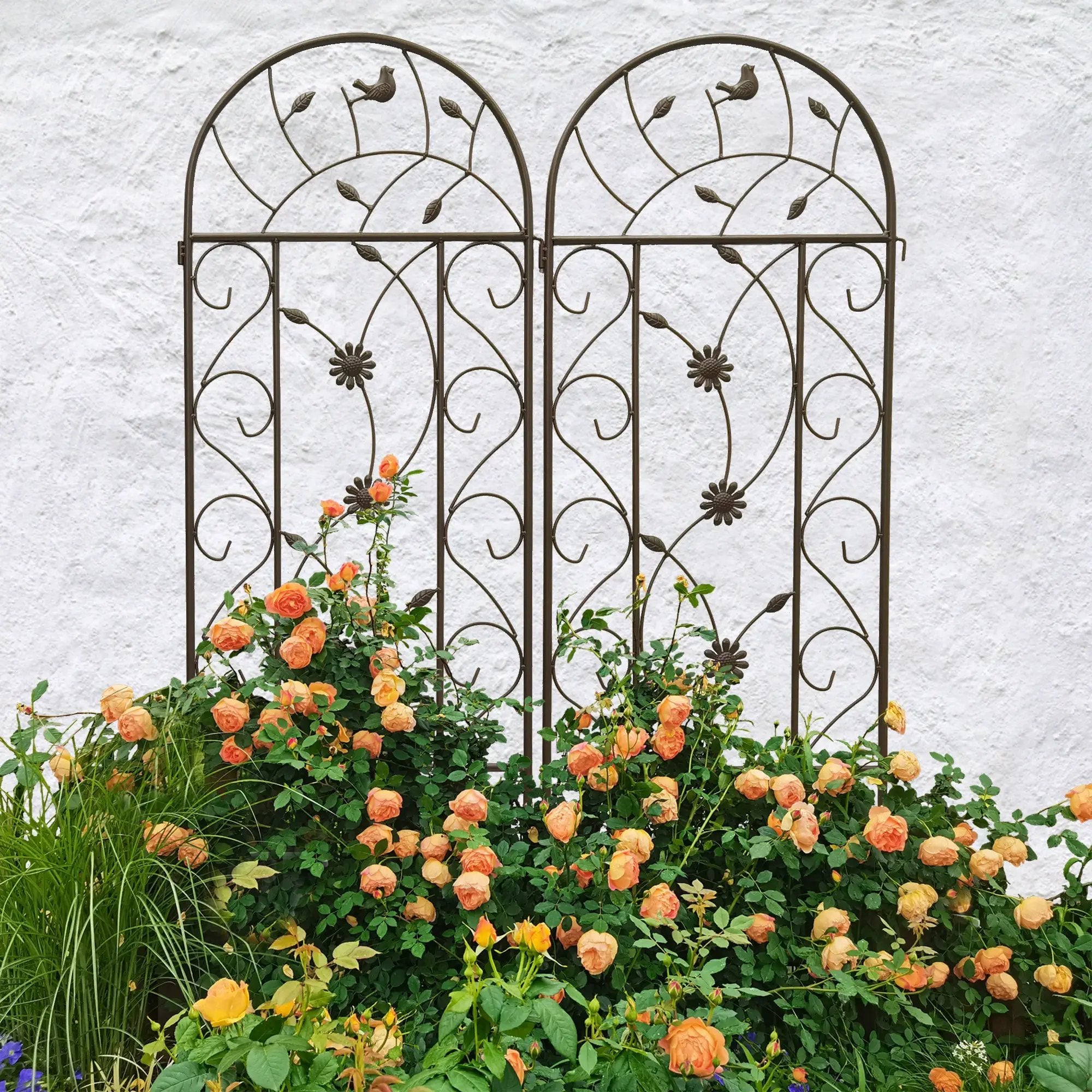 2 Pack Metal Garden Trellis 86.7" x 19.7" by HouseOfZazla