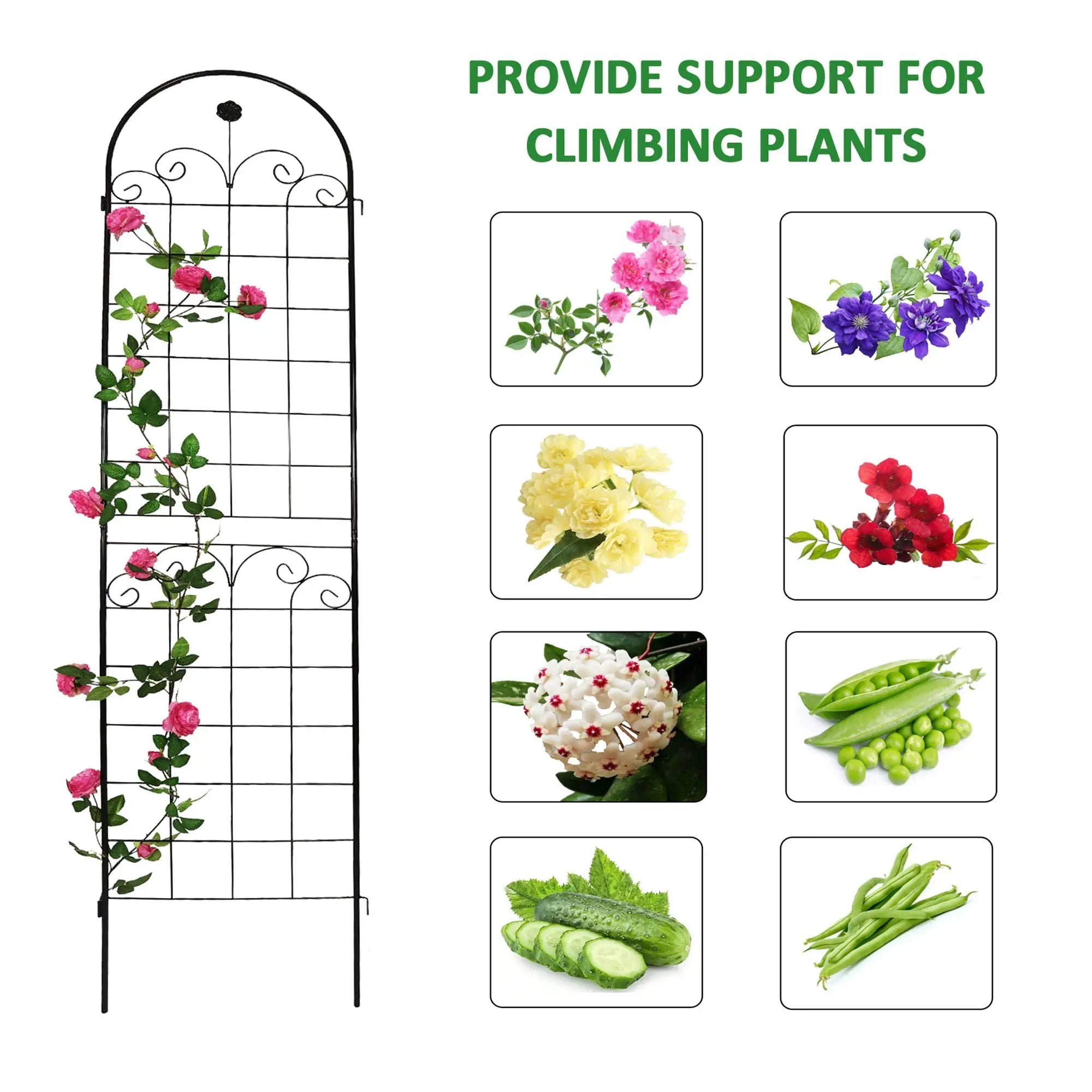 Metal Garden Trellis For Climbing Plants Outdoor Rustproof Plant Support Rose Trellis Netting Trellis by HouseOfZazla