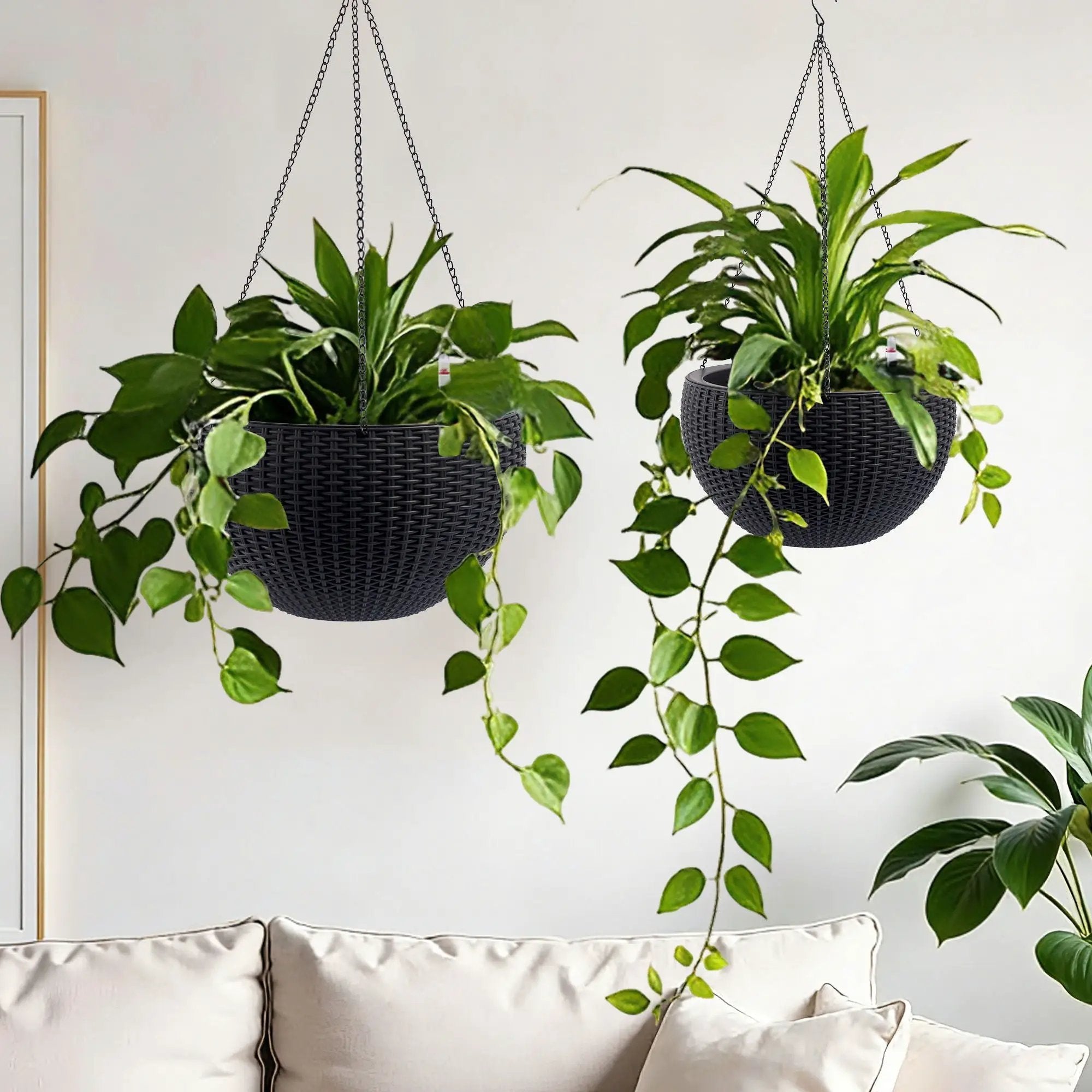 Self Watering Hanging Planter by Unique Piece Furniture