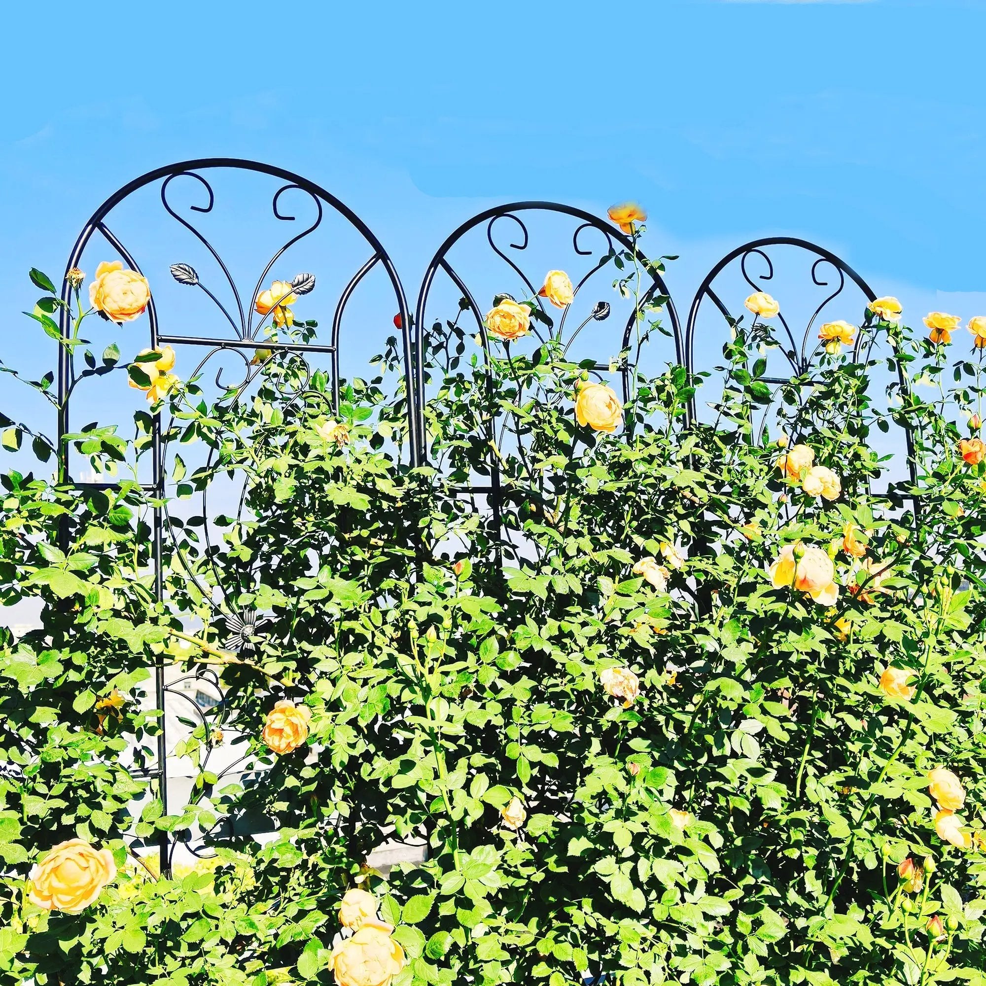 4 Pack Metal Garden Trellis 86.7'' x 19.7'' Rustproof Black by HouseOfZazla