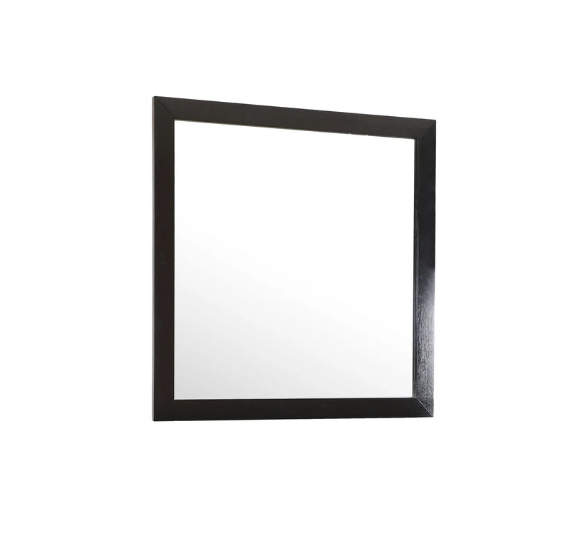 Burlington - Modern Design Transitional Wall Mirror by HouseOfZazla