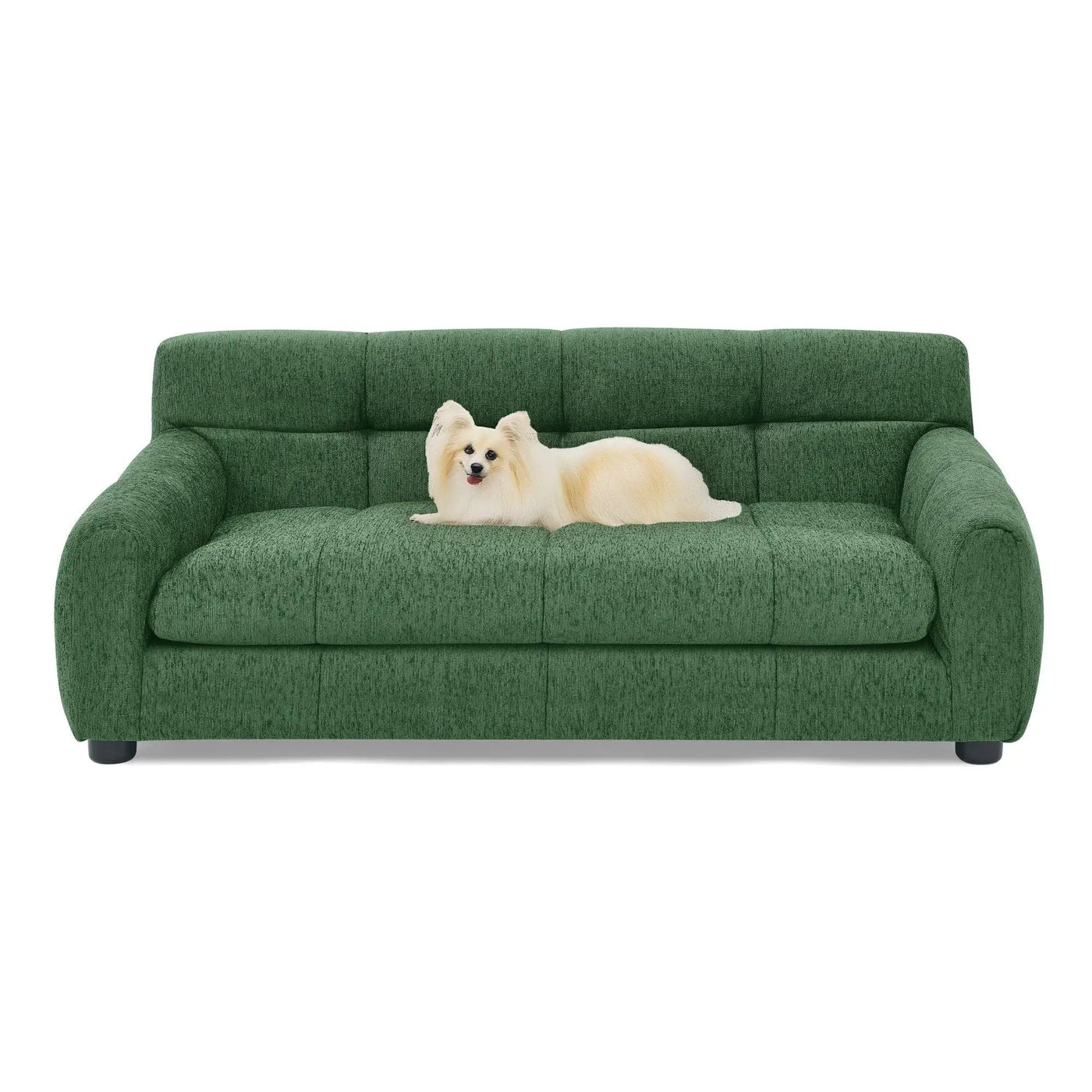 Modern Pet Sofa With Backrest And Armrests by HouseOfZazla