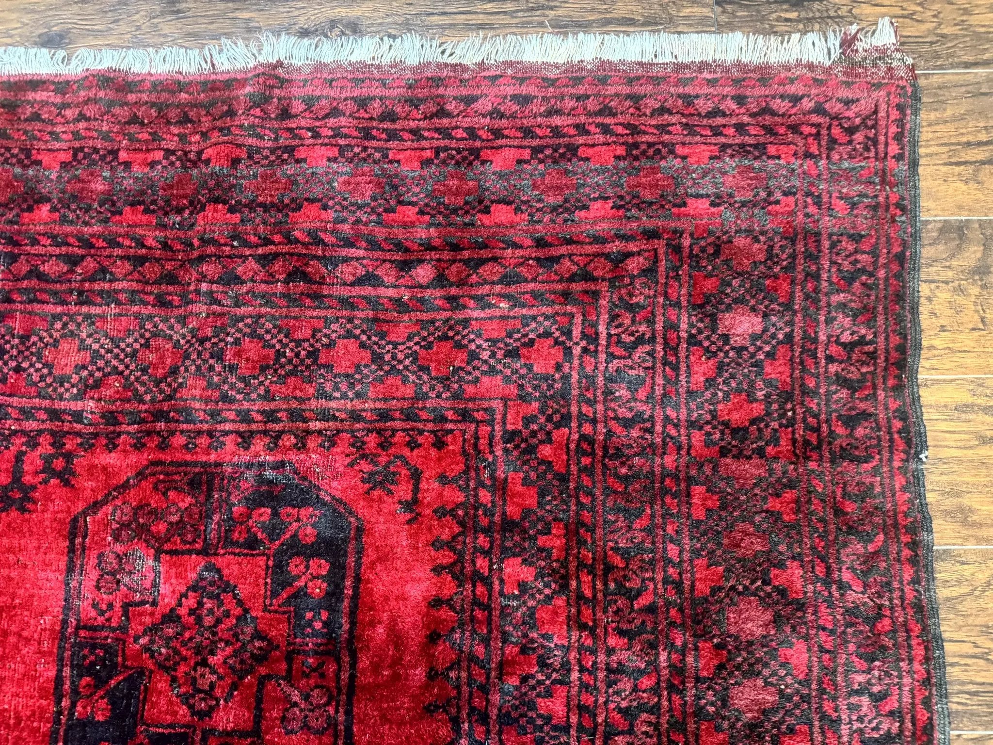 Afghan Turkoman Rug 9x10, Red Beshir Carpet, Tribal, Wool, Antique by Jewel Rugs