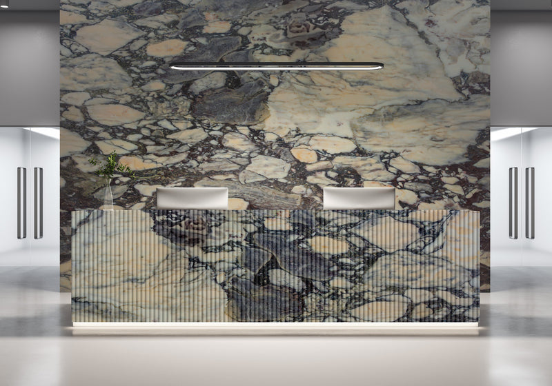 Calacatta Breccia Violetta Honed Marble Slab Random 3/4 room scene