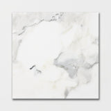 Calacatta Gold Polished Marble Tiles 18x18