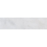 Calacatta T Honed Marble Tiles 3x12