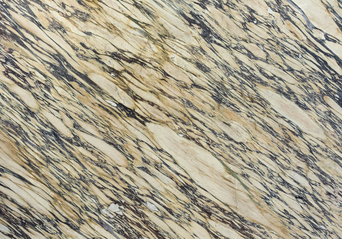 Calacatta Viola Polished Marble Slab Random