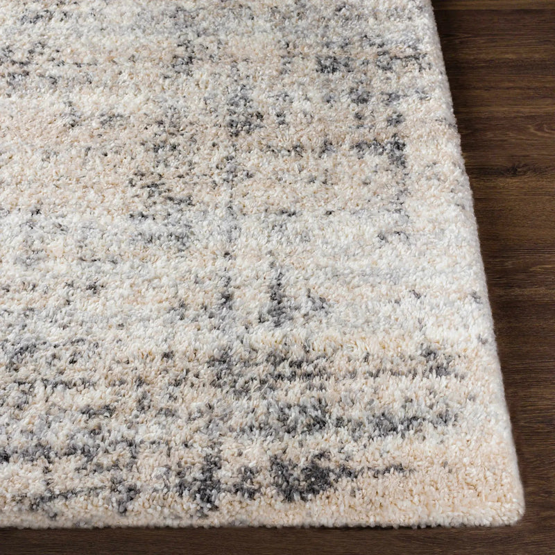 Calsib Area Rug by Boutique Rugs
