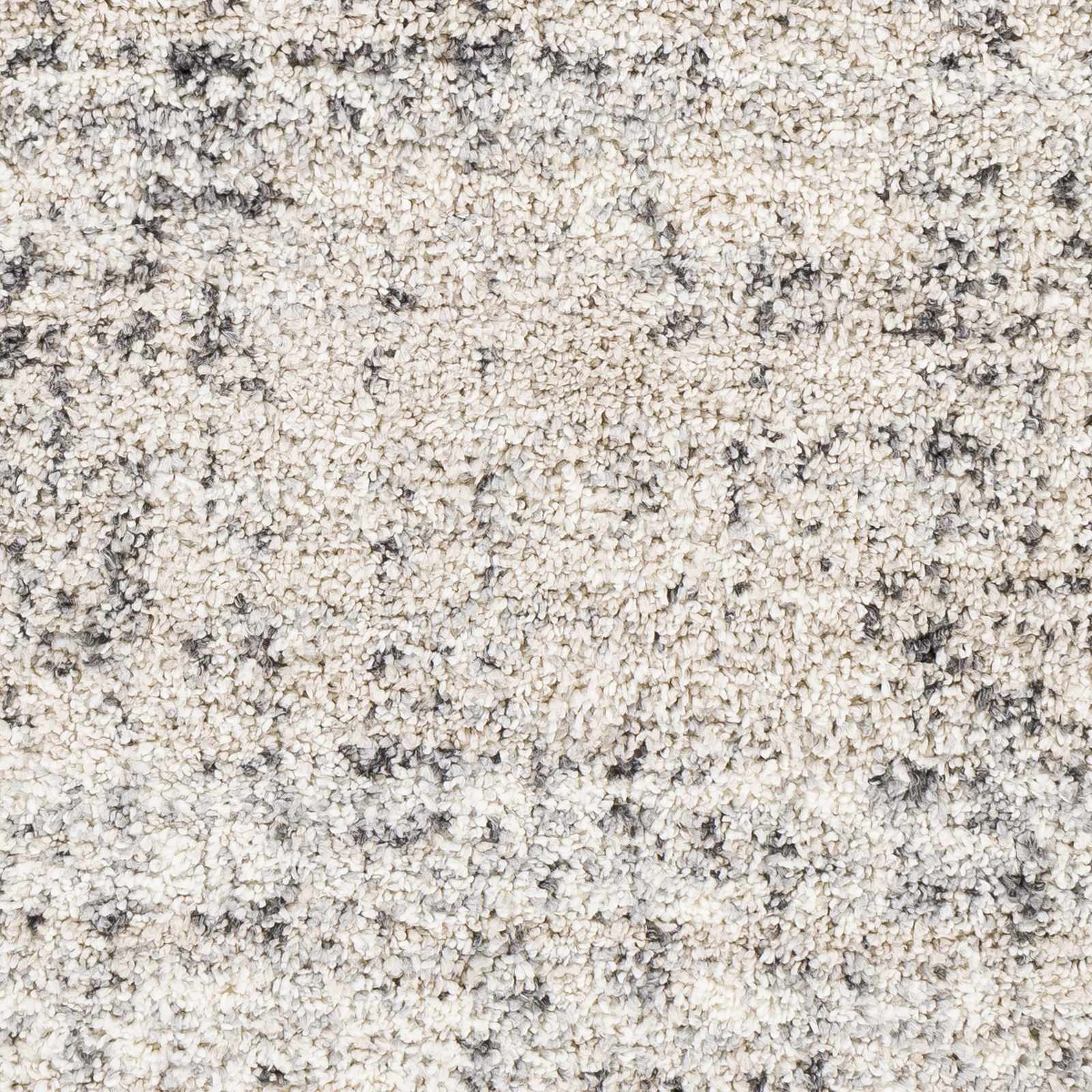 Calsib Area Rug by Boutique Rugs