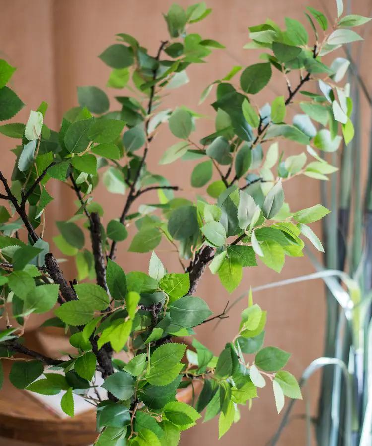 Camellia Green Leaf Stem by RusticReach