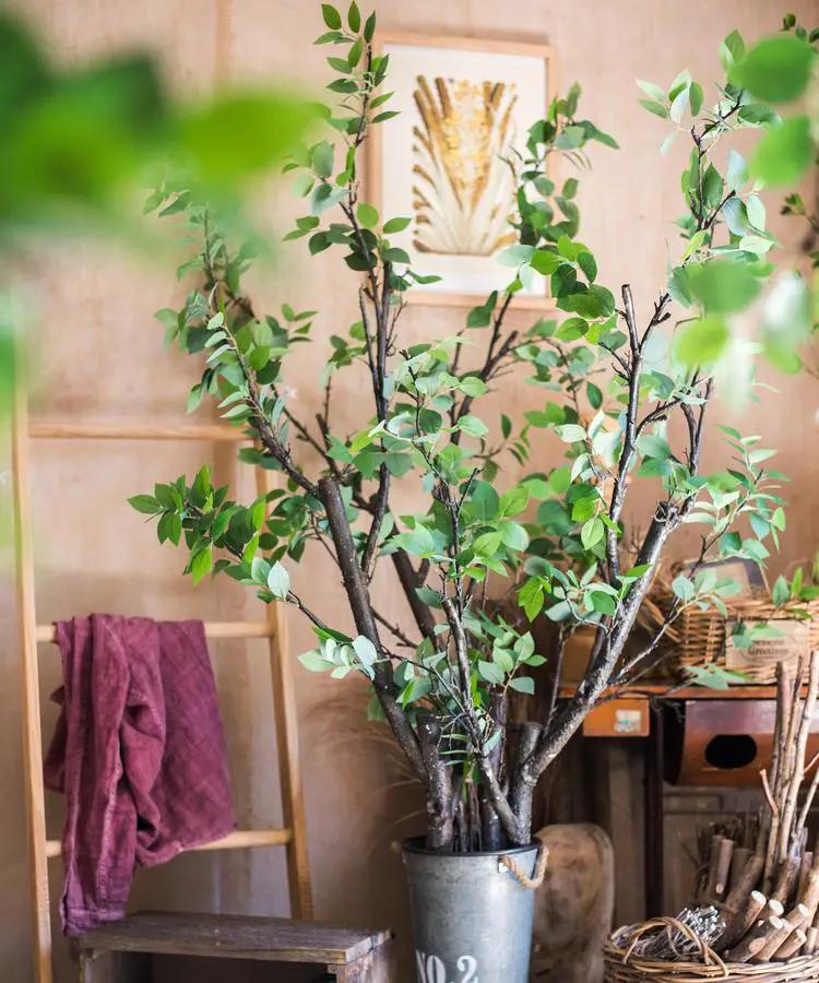 Camellia Green Leaf Stem by RusticReach