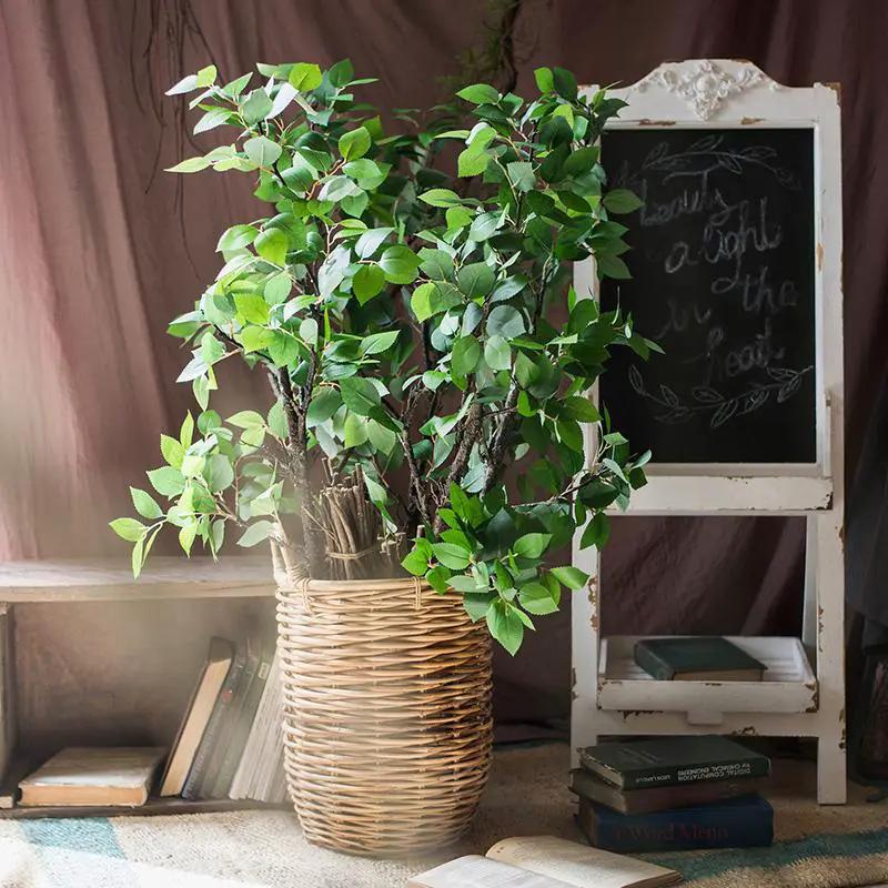 Camellia Green Leaf Stem by RusticReach