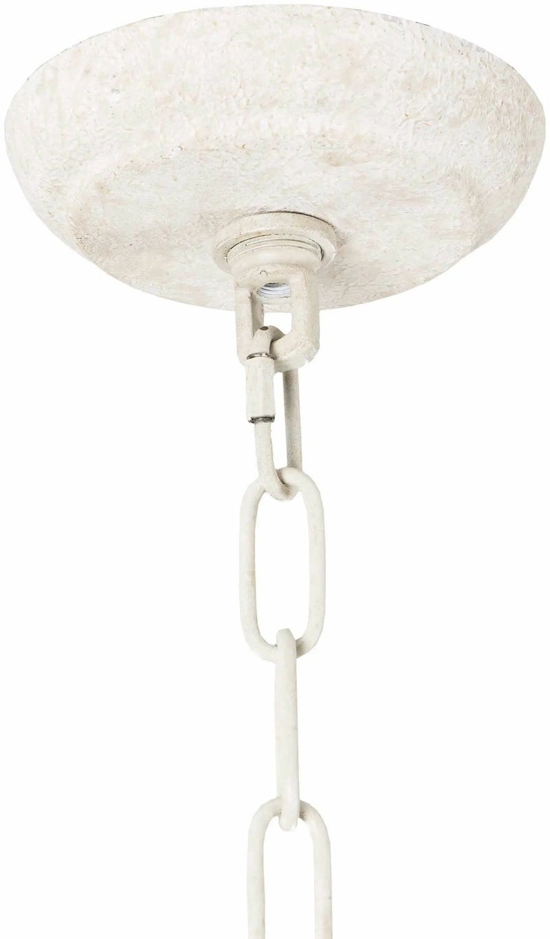 Canoe Ceiling Light - Clearance by Boutique Rugs
