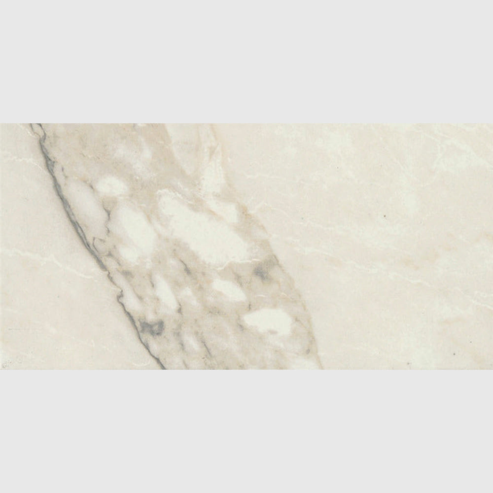 Carrara Arabescato Matte Porcelain Tiles 12x24 Porcelain Matte 12x24 Tiles