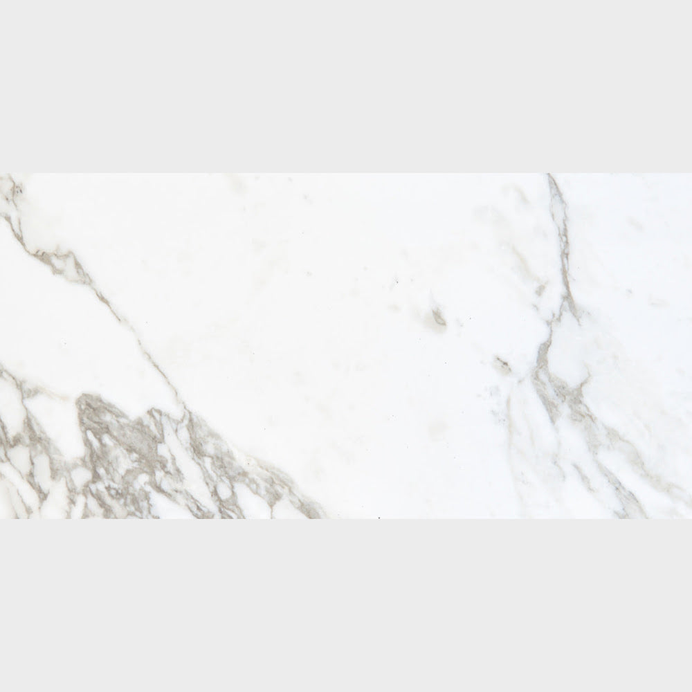 Carrara Arabescato Matte Porcelain Tiles 24x48 Porcelain Matte 24x48 Tiles
