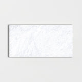 Carrara Blanco Polished Marble Look Porcelain Tiles 24x48