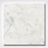 Carrara T Honed Marble Tiles 18x18