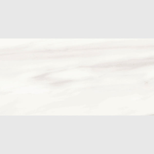 Carrara Venato Matte Porcelain Tiles 12x24