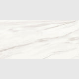 Carrara Venato Matte Porcelain Tiles 24x48