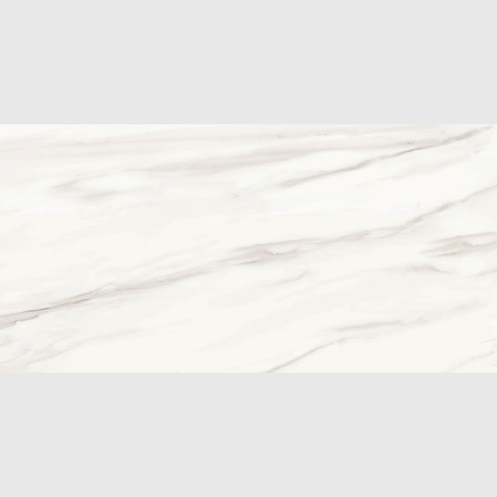 Carrara Venato Matte Porcelain Tiles 24x48 Porcelain Matte 24x48 Tiles