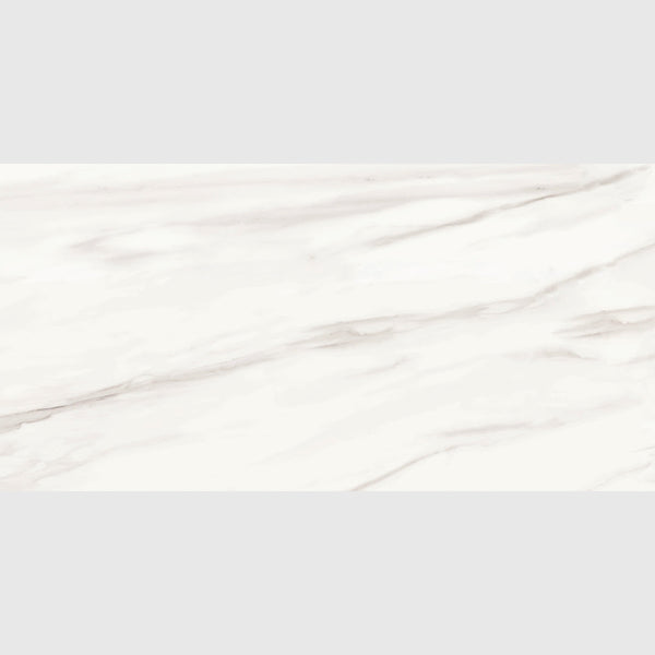 Carrara Venato Matte Porcelain Tiles 24x48