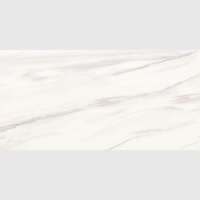 Carrara Venato Matte Porcelain Tiles 24x48 Porcelain Matte 24x48 Tiles