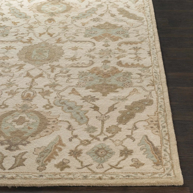 Carrolltown Area Rug by Boutique Rugs