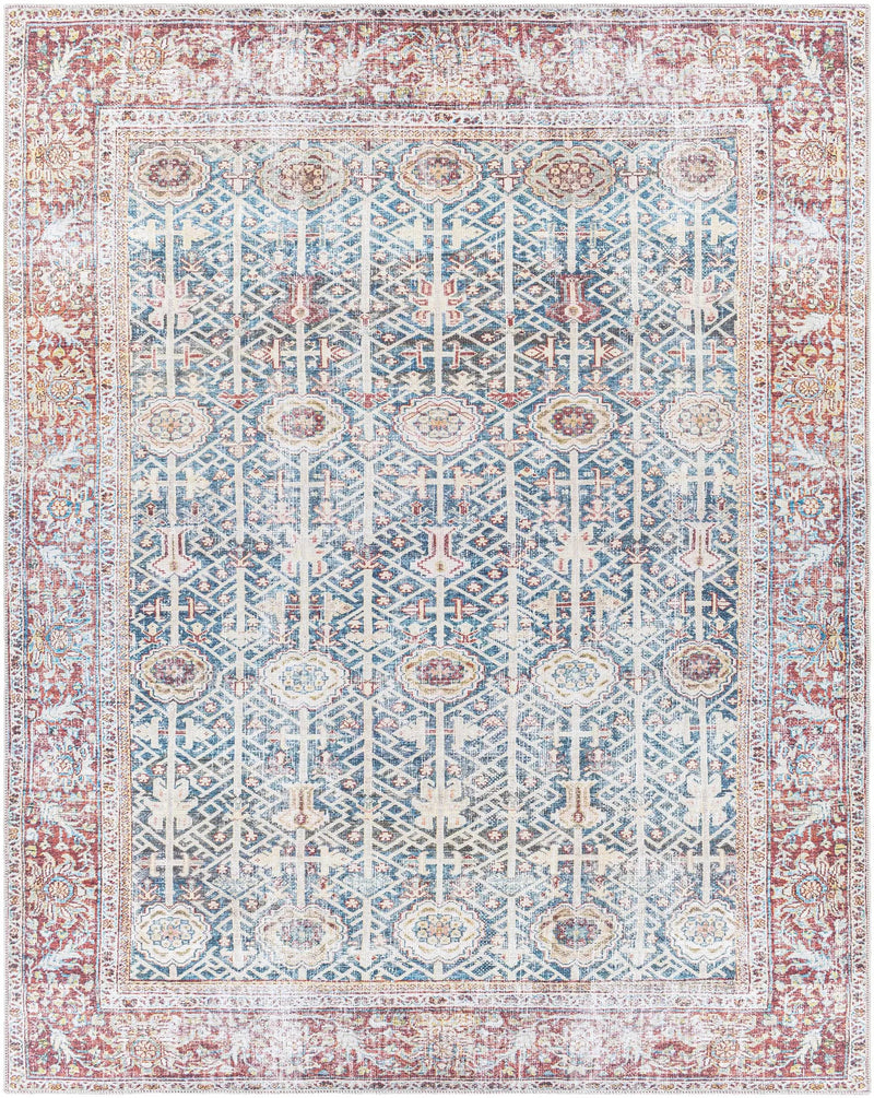 Rust Catadupa Distressed Washable Area Rug - Clearance by Boutique Rugs