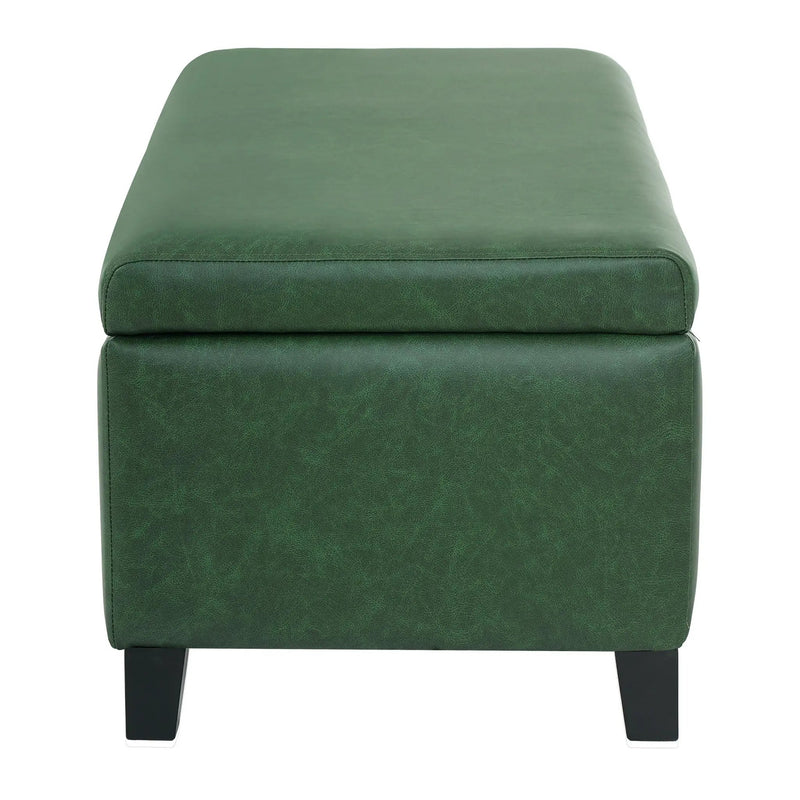Storage Ottoman with Flip-Top Lid by HouseOfZazla