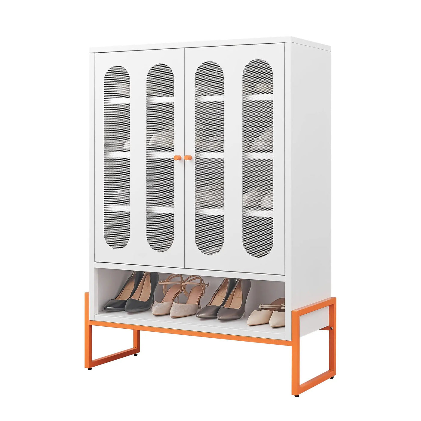 Modern Metal Shoe Cabinet With DoublebSided Doors And Adjustable Partitions by Unique Piece Furniture
