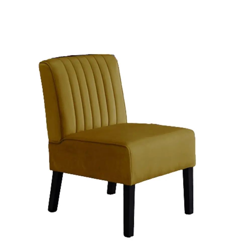 Reese - Mid-Century Modern Accent Chairs With Minimalist Design (Set of 2) by HouseOfZazla