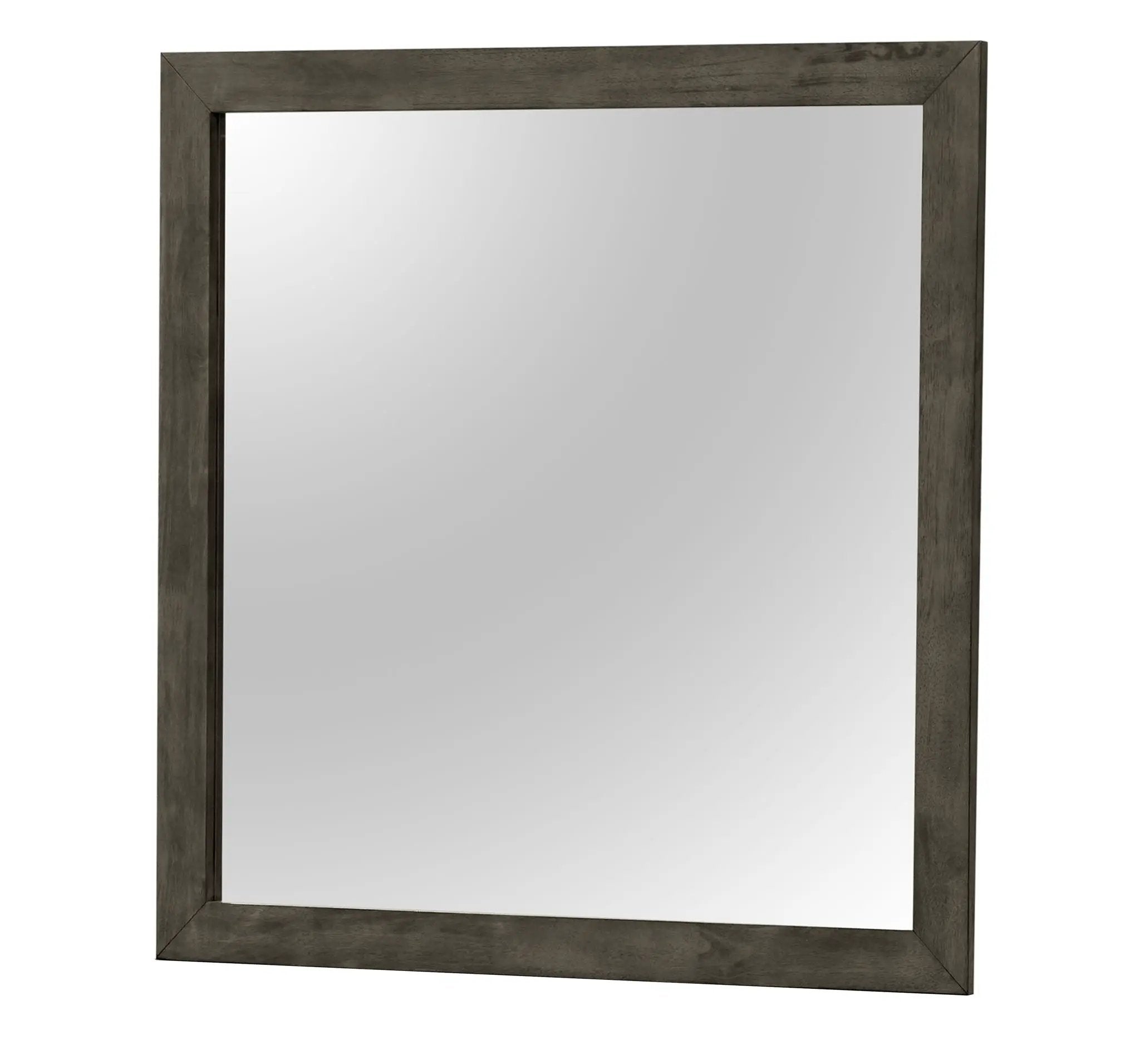Modern Design Transitional Wall Mirror by HouseOfZazla