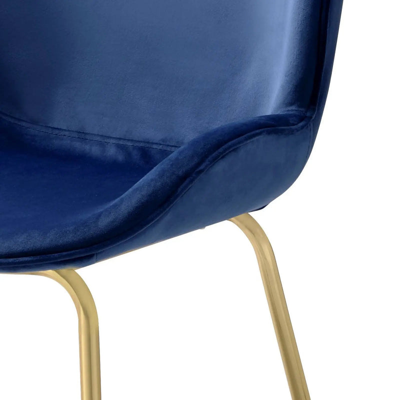 Chuchip Velvet Side Chair by HouseOfZazla