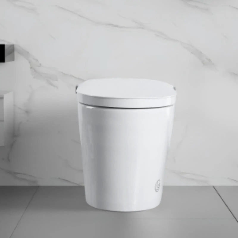 Tankless Smart Toilet With Bidet Built In, 1 Piece, Auto Flush, Auto Open / Close, Heated Seat, Bubble Wash, Warm Water And Dry, Adjustable Temp, Remote Control Side Know - White by HouseOfZazla