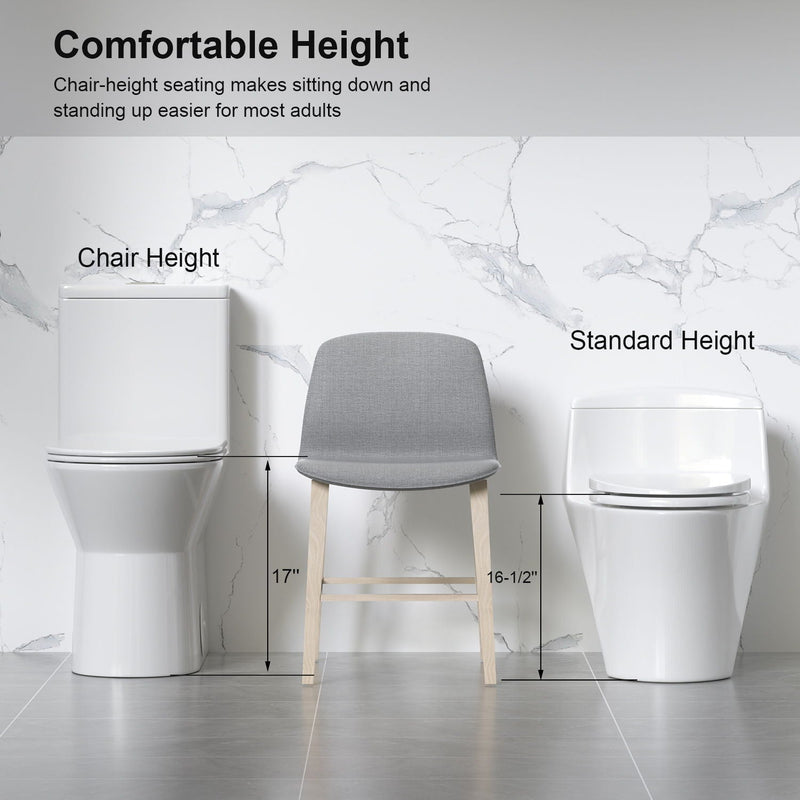 1 Piece Toilet With Dual Flush & Rimless Bowl - Glossy White by HouseOfZazla
