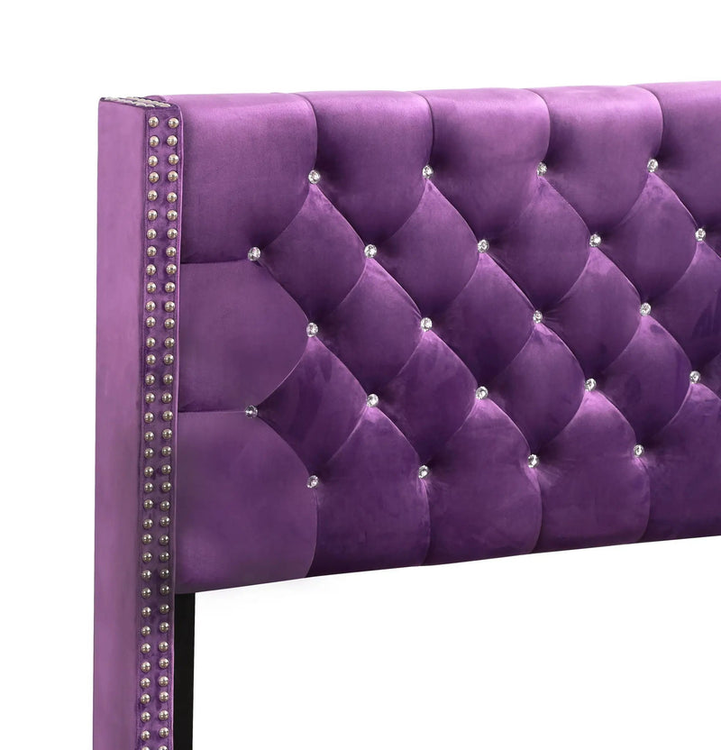 Upholstered Nailhead Trim Chic Bed by HouseOfZazla
