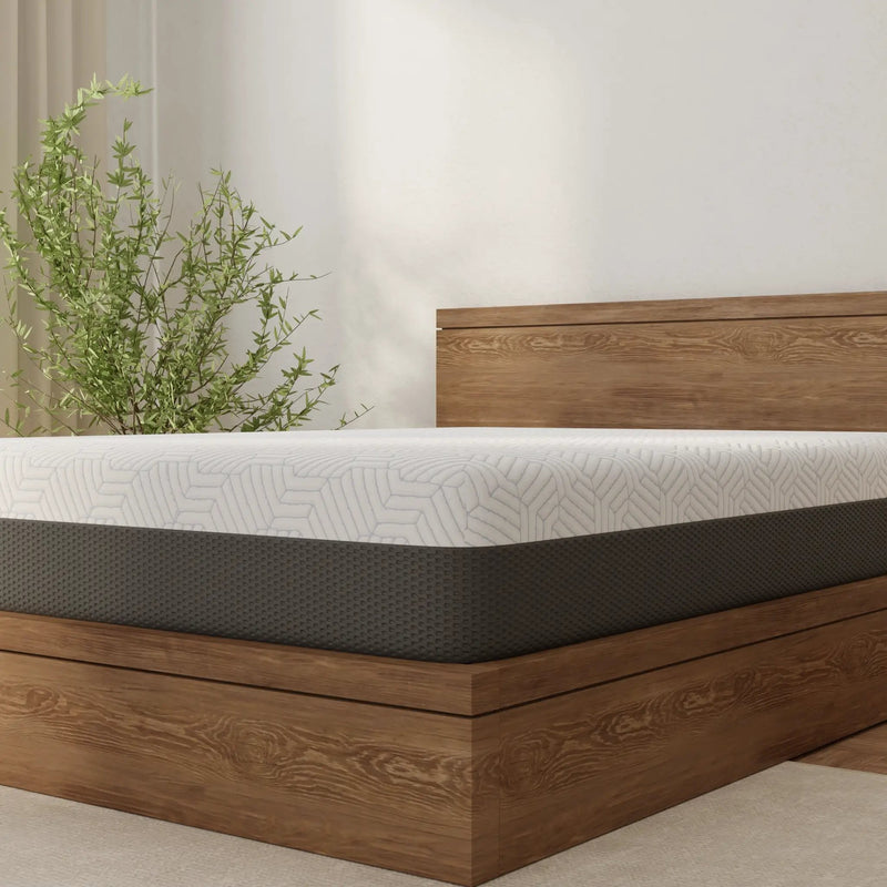 Omne Fria 12 Inch Queen Soft Mattress With Cooling Cover by HouseOfZazla