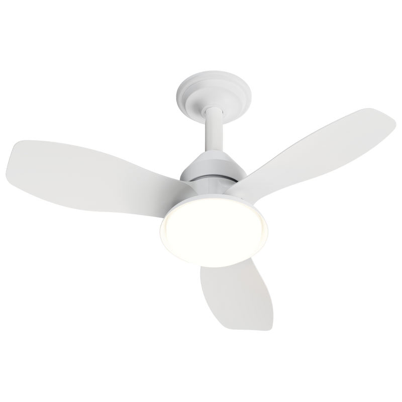 24.4" Modern Ceiling Fan with Light by HouseOfZazla