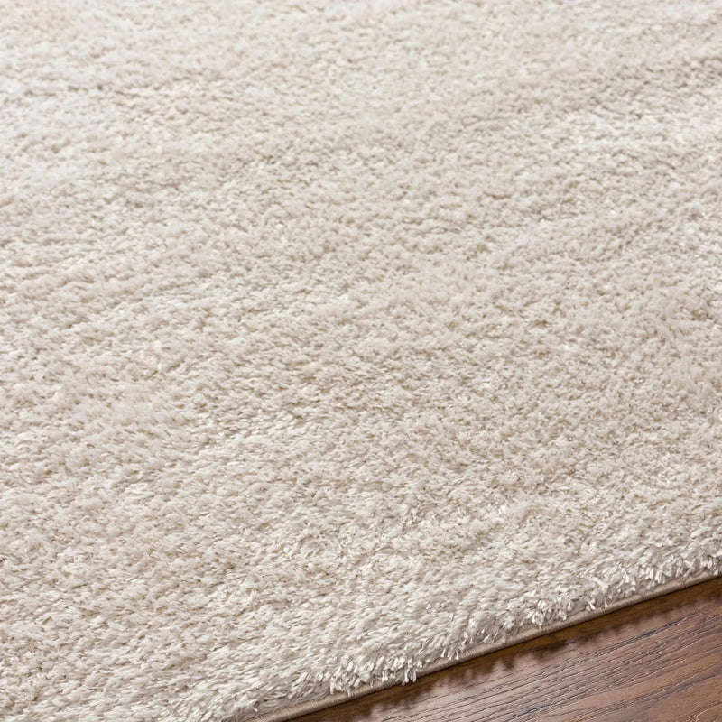 Heavenly Solid Beige Plush Rug by Hauteloom