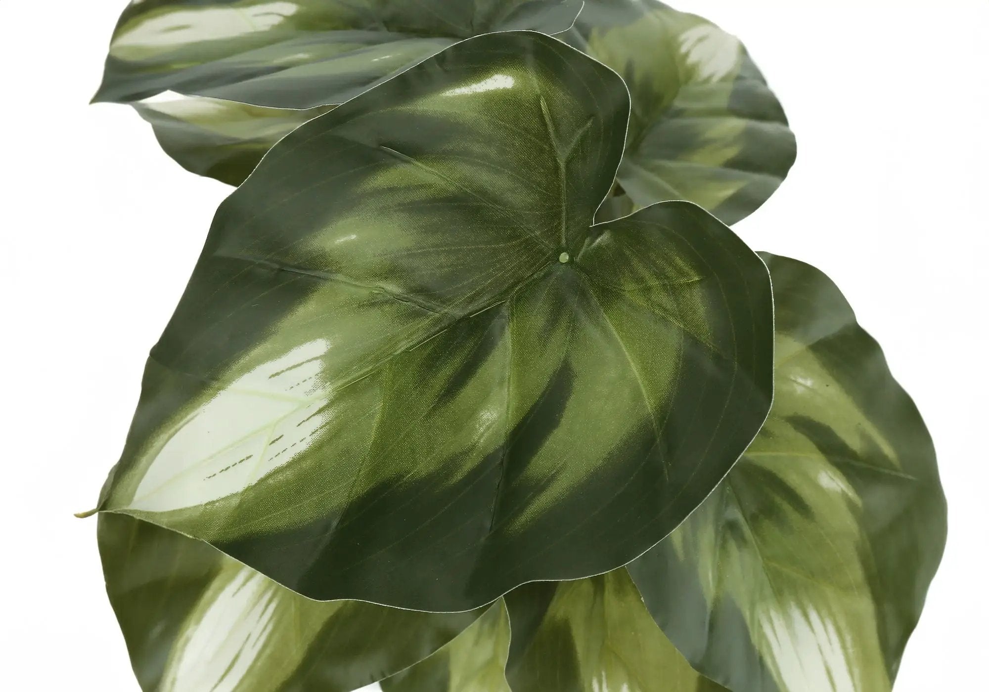 13" Tall, Artificial Plant, Monstera Calthea, Indoor, Faux, Fake, Table, Greenery, Potted, Decorative (Set of 2) - Green / Black by Unique Piece Furniture