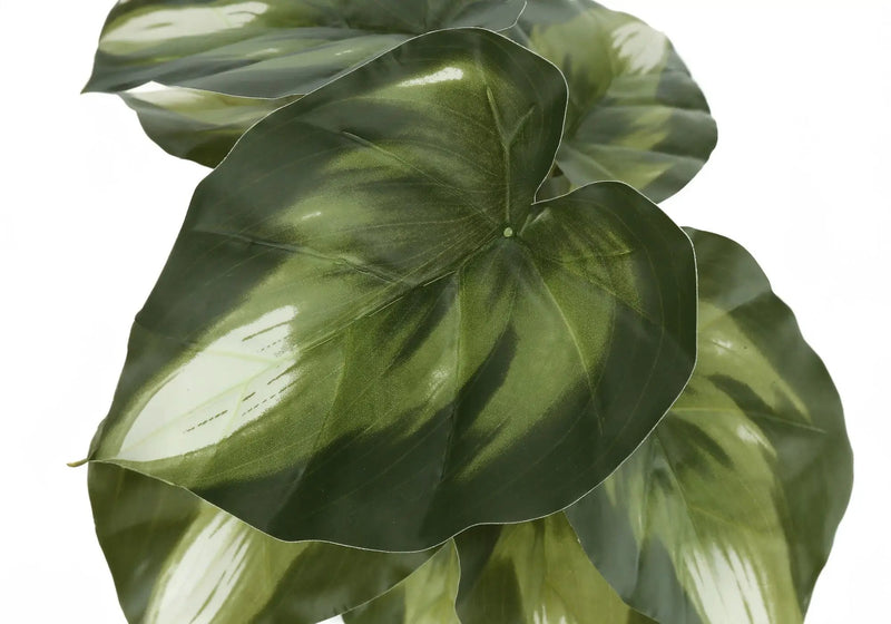 13" Tall Artificial Monstera and Calathea Plants, Set of 2 by HouseOfZazla