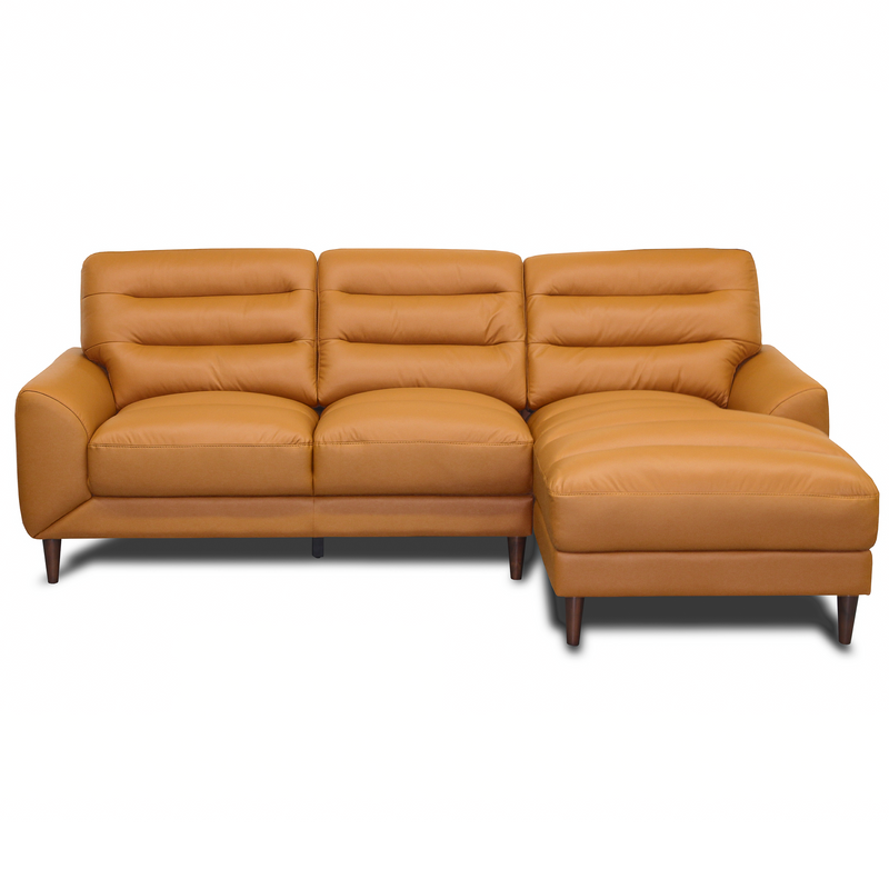 Clarion Genuine Leather Sectional by HouseOfZazla