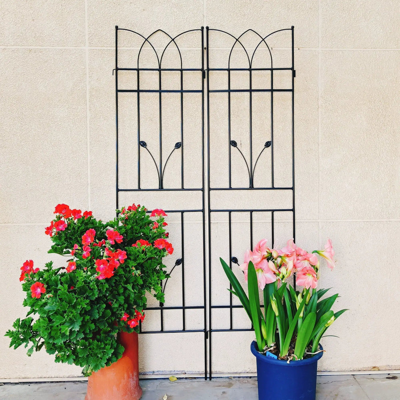 Metal Garden Trellis Rustproof For Climbing Plants Outdoor Flower Support by Unique Piece Furniture