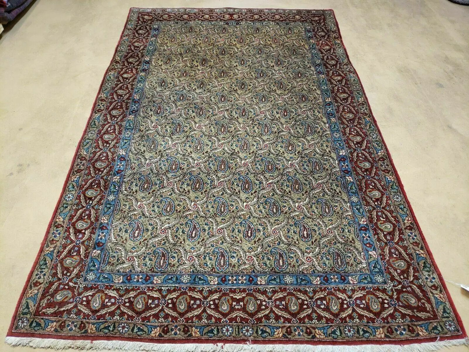 4' X 7' Handmade Turkish Wool Rug Paisley Hand Knotted Flowers One Of A Kind by Jewel Rugs