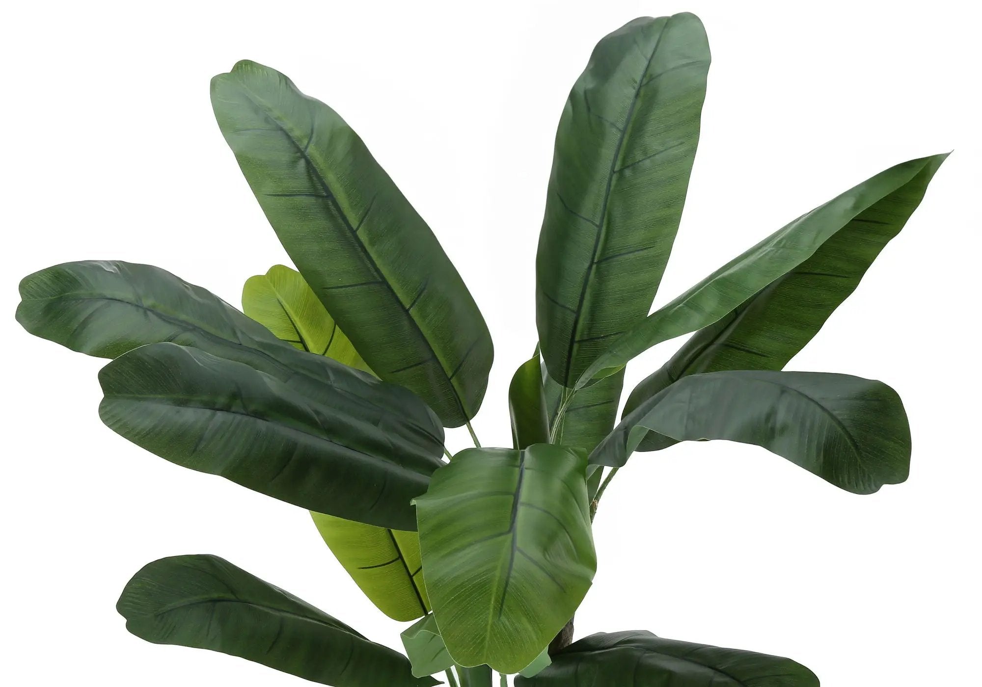 55" Tall, Artificial Plant, Banana Tree, Indoor, Faux, Fake, Floor, Greenery, Potted, Real Touch, Decorative - Green / Black by Unique Piece Furniture