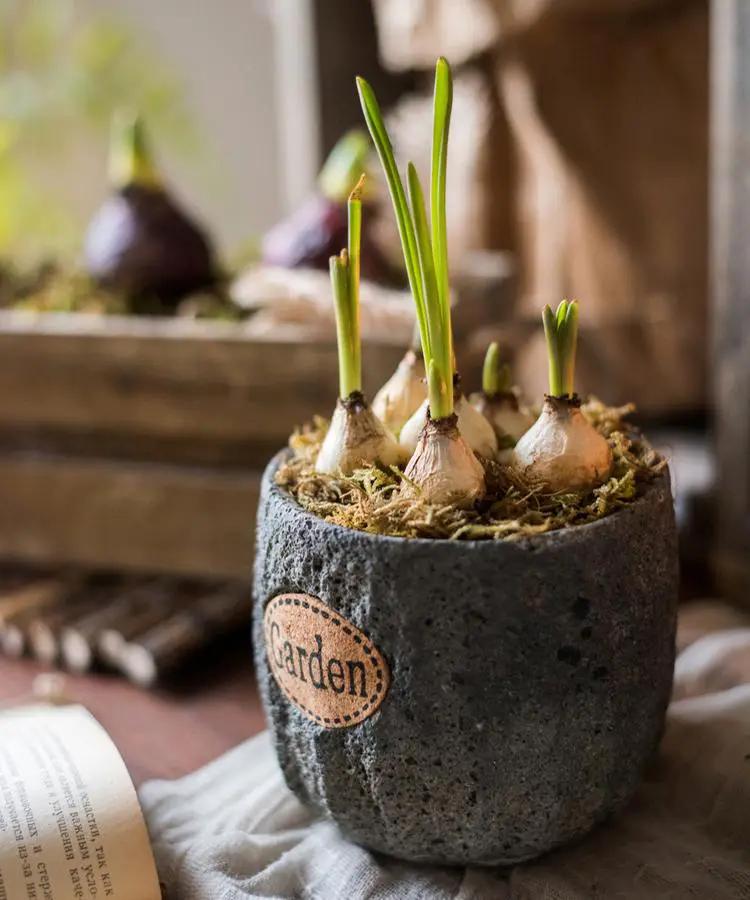 Cement Stone Tiny Garden Planter by RusticReach